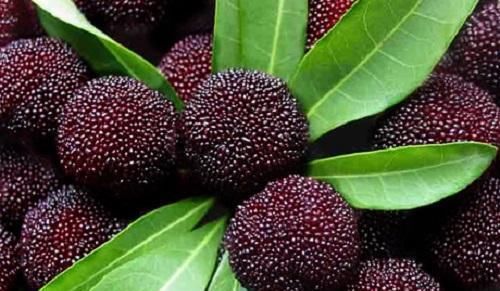 草莓|四种“洗不干净”的水果,全吃过的都是牛人,我只吃过杨梅!