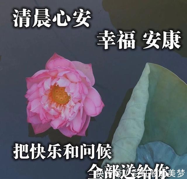 简单|简单美好的早安心语唯美图片，超有人气细腻走心的正能量语句