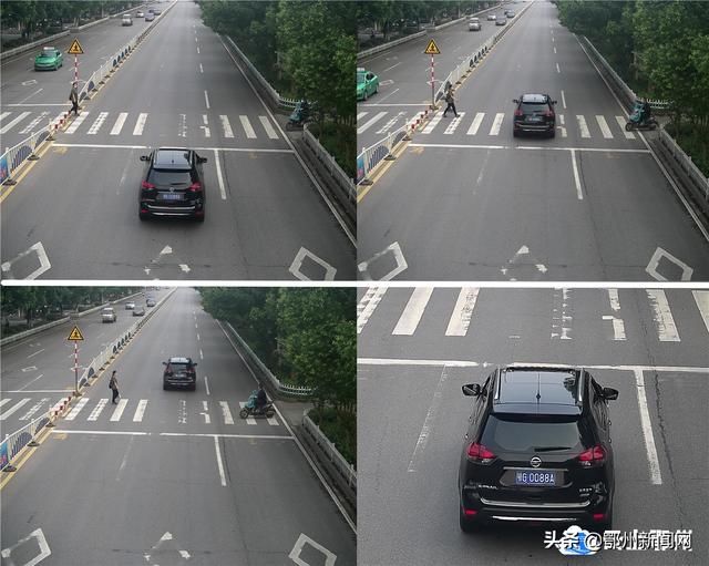 鄂州|不礼让行人？鄂州又一批车辆集中曝光