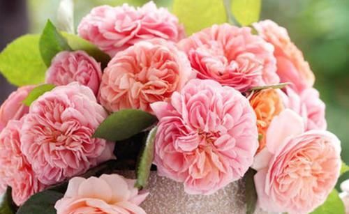 丈夫|“一生不缺钱”的三种生肖女，丈夫乖乖上交工资卡，感情很和谐