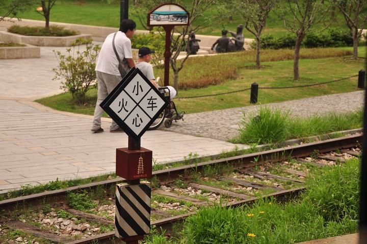 陈彬|11年来，在朝晖工作的他带着偏瘫的失独老人，看遍杭城美景