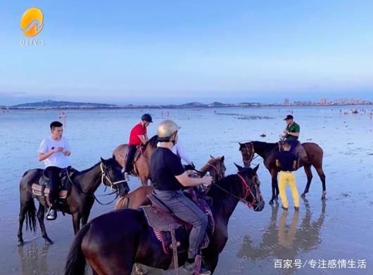  大海|银鞍骏马驰如风,冲入大海救危童,网友:大侠,请收下我的膝盖!