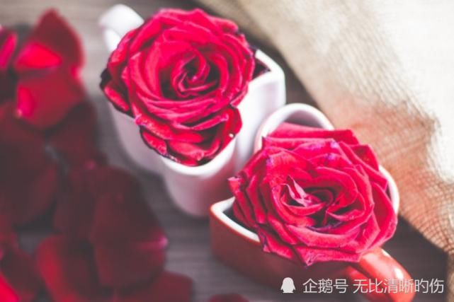 上旬|十月上旬开始，运势如虹，好运追着跑，事业顺风顺水的生肖