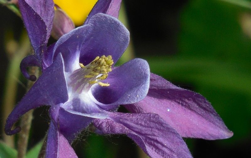  故人|未来一周，爱情须尽欢，敞开怀抱，接纳从前故人，再度和好的星座