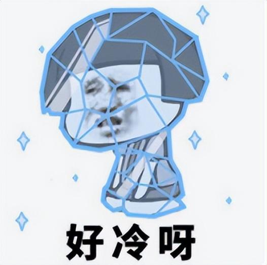 羽绒服“出场”倒计时！这些地方，或冷到破纪录…