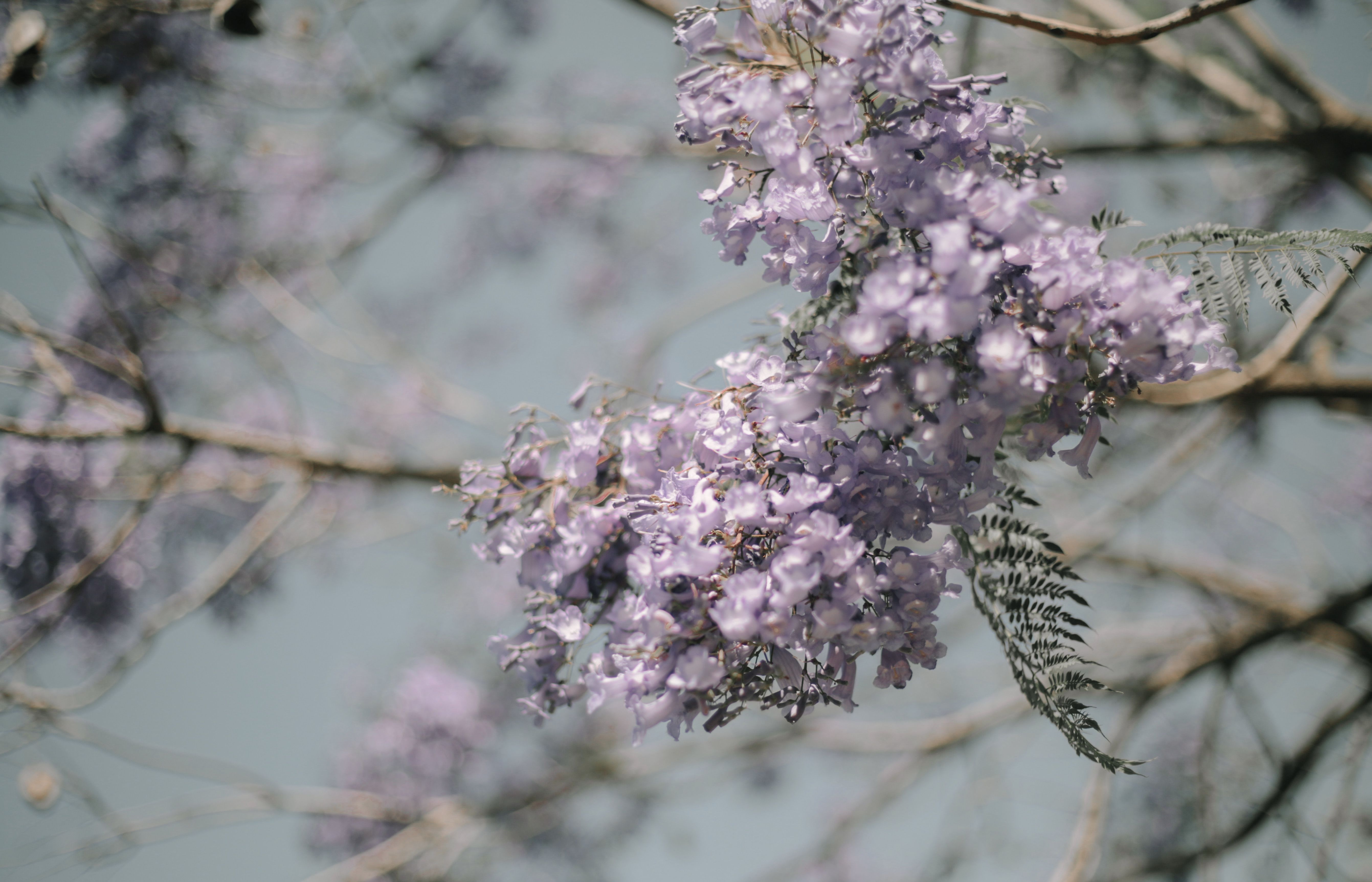记录一下|成都,撑肚!成都的旅途中,少不了美食的“浓墨重彩”