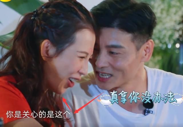  晚上|一听到蔡少芬说晚上有洞房花烛，张晋激动一把搂住娘娘脖子