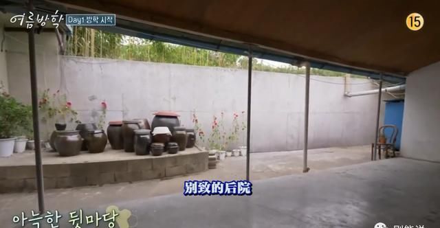  综艺|抛开抄袭风波，确实很治愈……