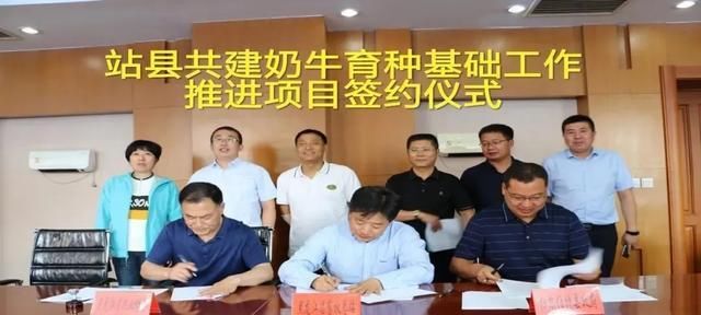 黑龙江省畜牧总站|站县共建奶牛育种基础工作推进项目签约仪式圆满完成