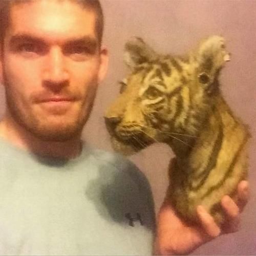 炫耀|英国男子拍照炫耀珍藏濒危稀有动物标本,引发轩然大波后被捕入狱