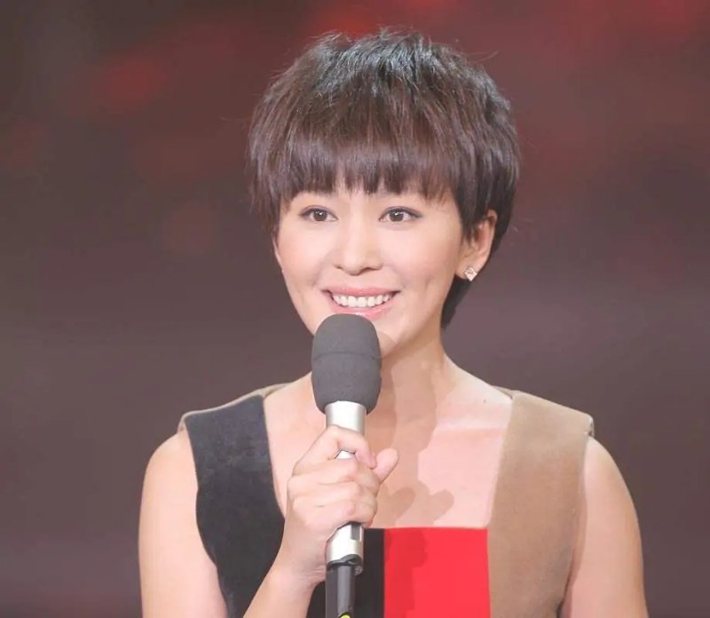  国脸|16岁丧父，央视临时工晋升国脸，欧阳夏丹陪伴《新闻联播》9年