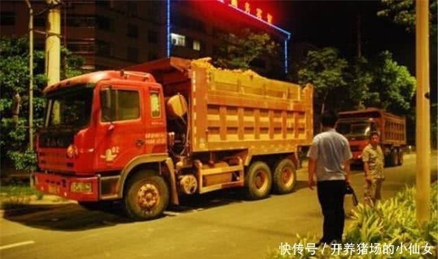 晚上|为何渣土车晚上敢随便闯红灯,得知真相后,令主人气氛不已!
