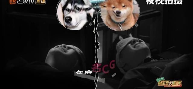  不再|邓伦你不再是一个人了，张若昀来陪你了