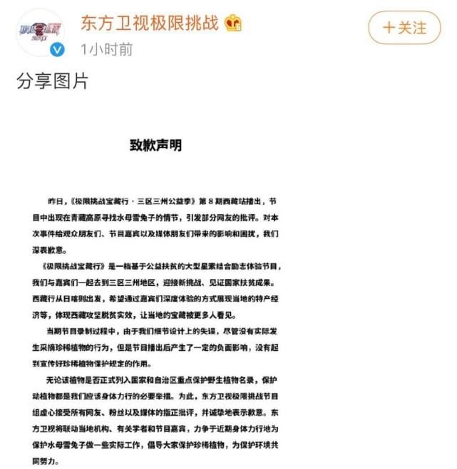  带妆|又蠢又坏？金子涵吴宣仪带妆亲吻海豚，被鲸类保护联盟点名批评！