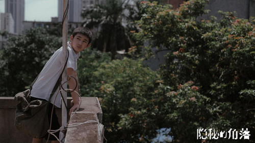 大结局|网剧《隐秘的角落》大结局是什么意思?普普没有死?