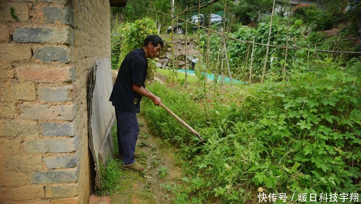 为啥|70岁大爷住山村瓦屋，邻居都已搬走，看他为啥不愿离开