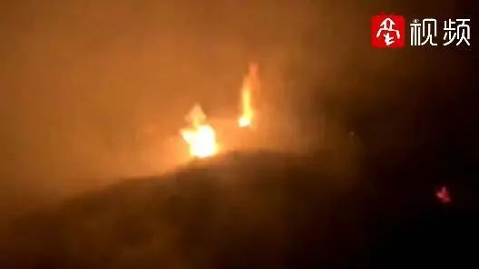  小狗|蒙城：这条小狗居然成了“纵火犯”