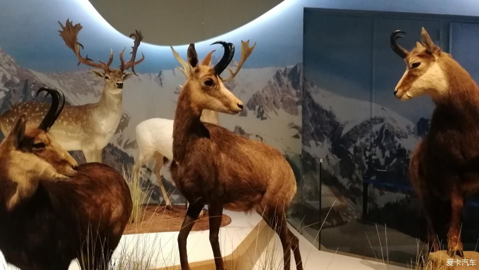  孩子|周末闲暇时光带着孩子打卡成都博物馆