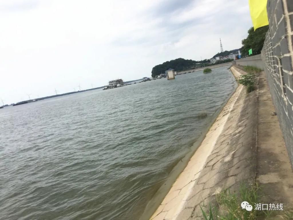  地方|多图直击！湖口西门水位退至闸门以下，这些地方最新水位在这！