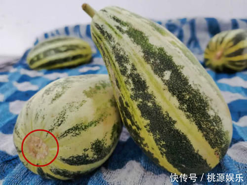 挑大|买甜瓜时,直接挑大的就错了牢记这3点,一挑一个准,个个香甜
