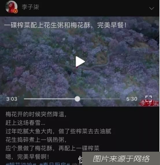  地址|追求美食梦想，不少人看出李子柒的地址，原来是住在四川平武