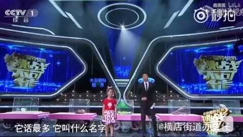  你比电视|撒贝宁为啥不要求节目组删掉这些镜头啊？