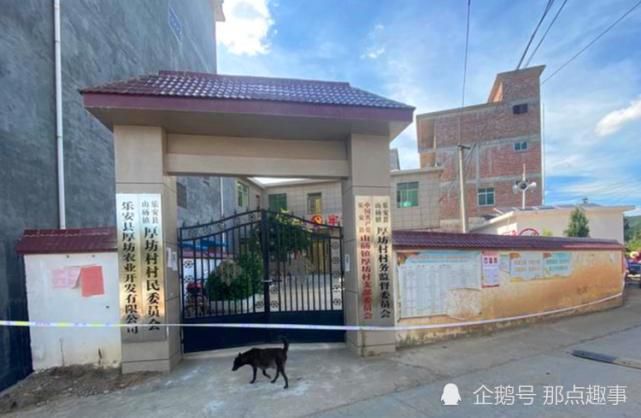  连环|“跟打仗一样，我活一辈子也没见过”，千人围捕曾春亮，江西连环杀人案后续