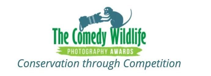  公布|谁是今年动物界的喜剧之王？喜剧野生动物摄影奖公布入围名单