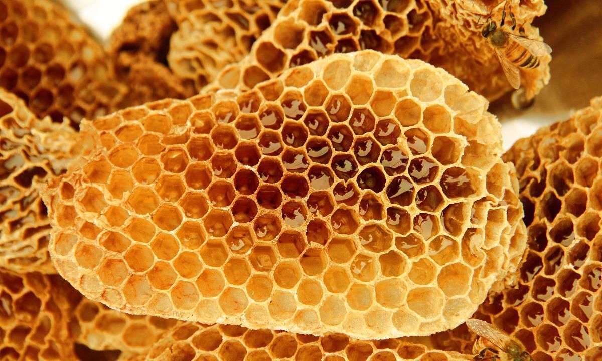  保质期|放了一年的蜂蜜还能吃吗，营养会有流失吗？看完你就明白了！