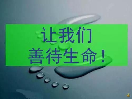  亮子|西洋河又见溺水者，因救人负伤~