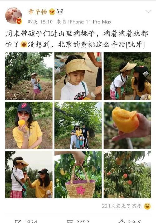  出游|章子怡晒出游照 九张照片亲闺女出镜五张 继女出镜一张还靠边站