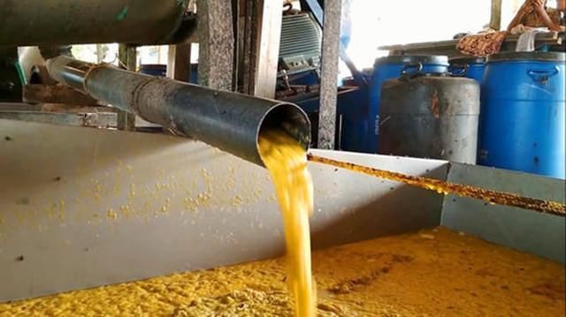  尽失|芒果干竟是印度产！看完制作过程，网友：胃口尽失！