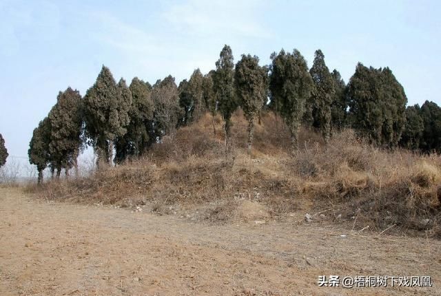 出没|避免被发现，盗墓者提醒“此地有鬼出没”，组成“四省联军”挖墓