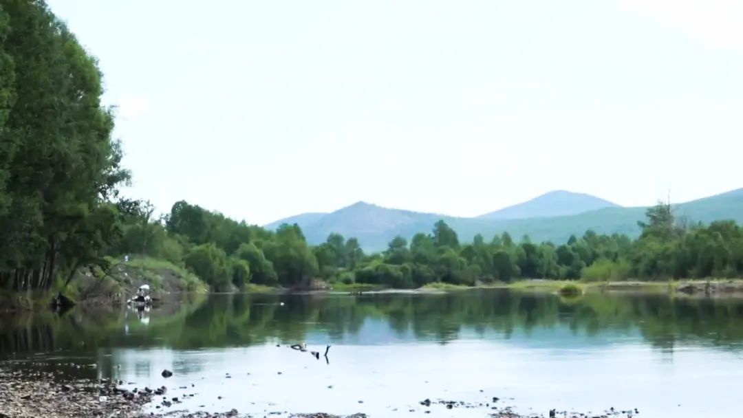 清清|清清河水悠悠，游人走垃圾留