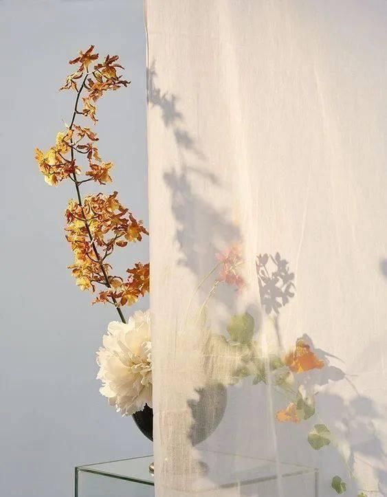  设计|“长得这么好看，花瓶就花瓶吧”