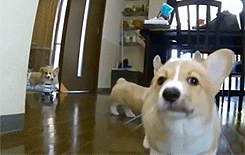  近期|警惕！近期高发，有医院一天接诊119人