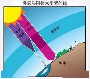 高温|高温热浪，被忽视的沉默杀手……