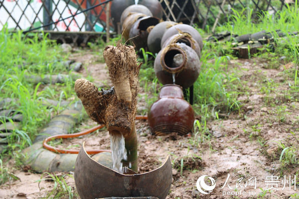 沿河|沿河曲子坝：从后进寨到示范寨的蝶变