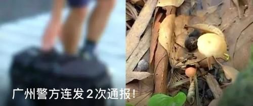  招救|紧急！4岁男童地铁内口吐白沫，心跳骤停，关键时刻这招救了他