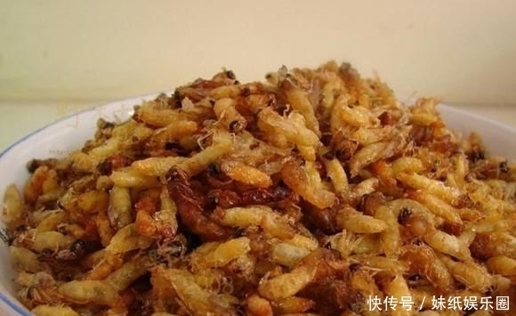  上瘾|儿子带的中国式午饭吓坏老外,尝过以后上瘾了,啥时候再带?