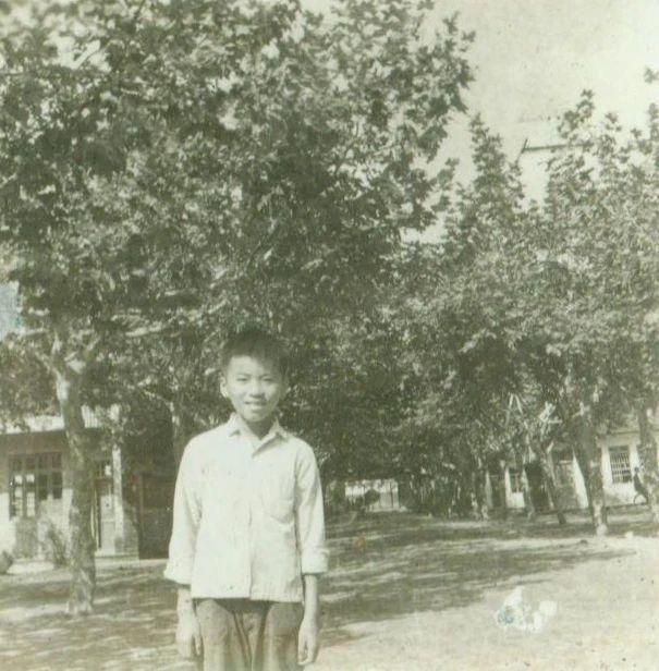 写成|把童年经历写成书，浙大教授蔡天新《小回忆》出新版