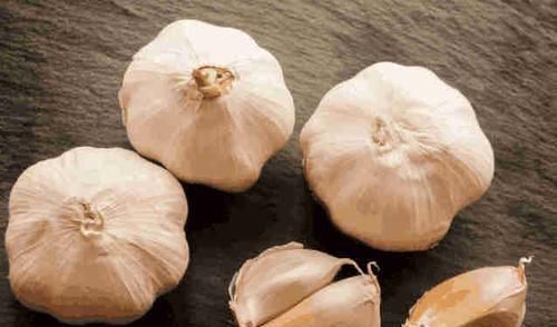 买买|这4种“大蒜”尽量别买买了也不要吃,现在知道还不晚