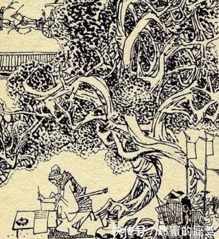  本事|光武帝刘秀的左右手 有本事没脾气的大树将军