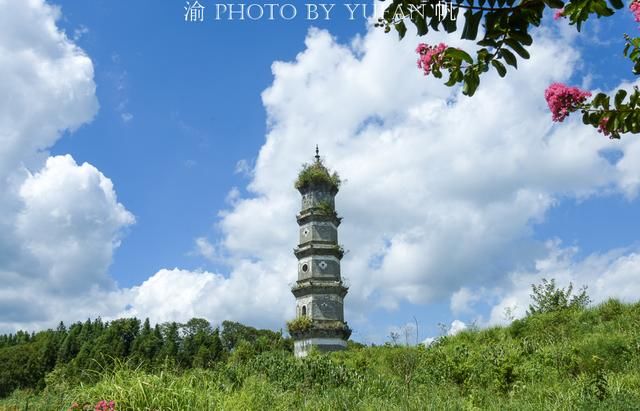  保护|广东韶关大山里发现一座清代古塔，塔上长满青草，亟待保护