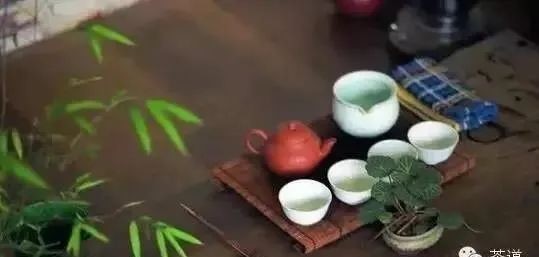 自然|多喝茶吧,看看“茶”字就知道了