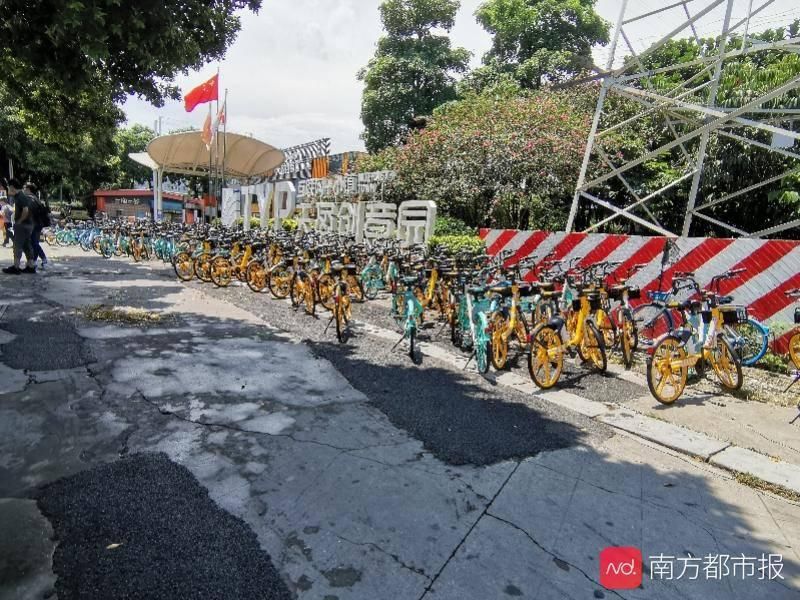 的士|棠下片区人行道遭大量的士占用违停，司机：大家都在这停