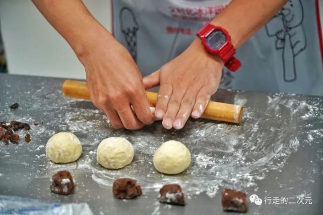 快乐|北冰洋回来了,你的快乐回来了吗?