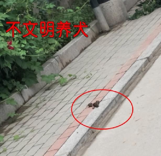 文明|曝光台 | 这些不文明行为你有吗?