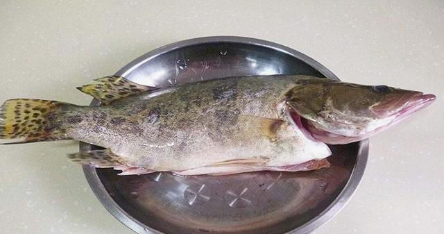  简单|特色家常菜-清蒸桂鱼，肉质鲜嫩有营养，做法简单容易学