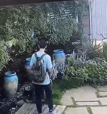 母子|“熊孩子”景区破坏仙人掌,母亲辩解称其年纪尚小,网友:巨婴?